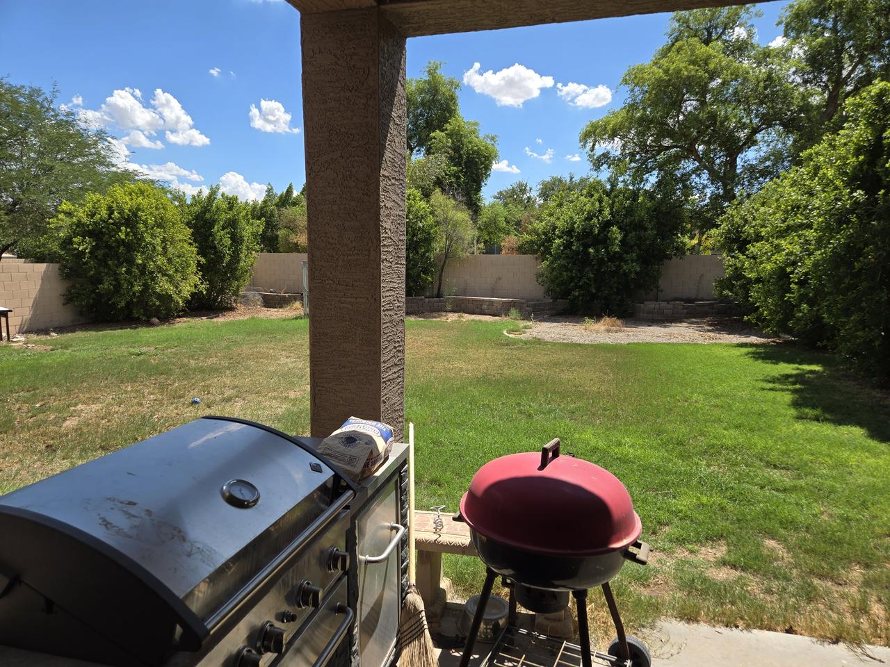 Profile photo 10 of 11