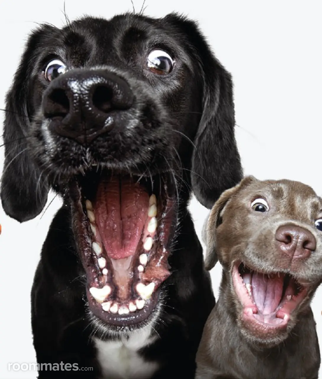 Profile photo 9 of 10