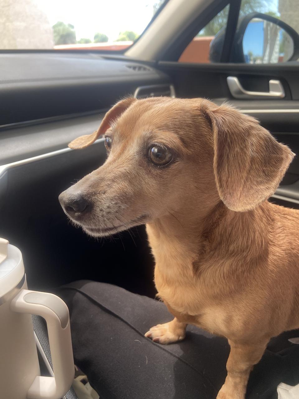 Profile photo 7 of 8