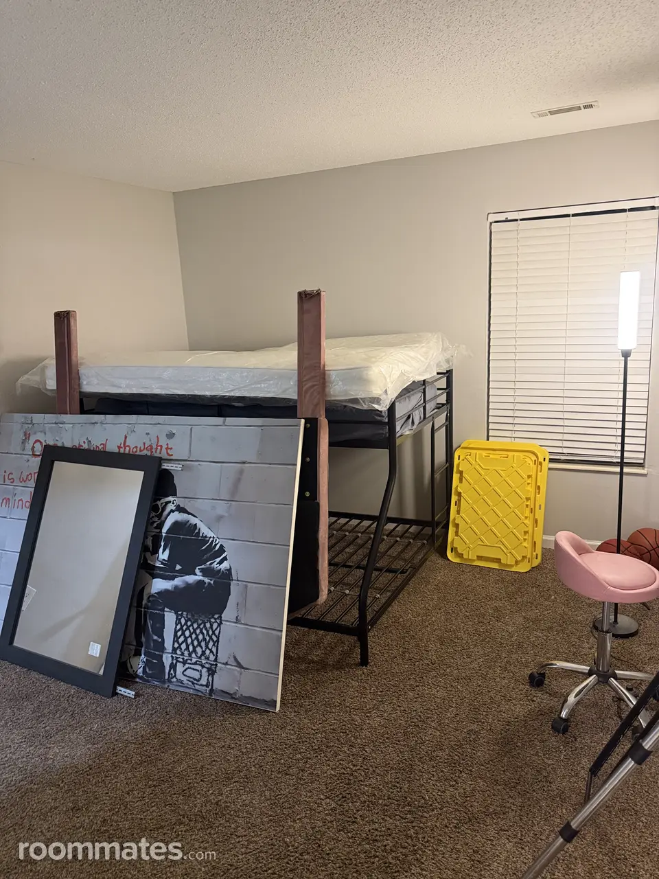 Profile photo 11 of 15