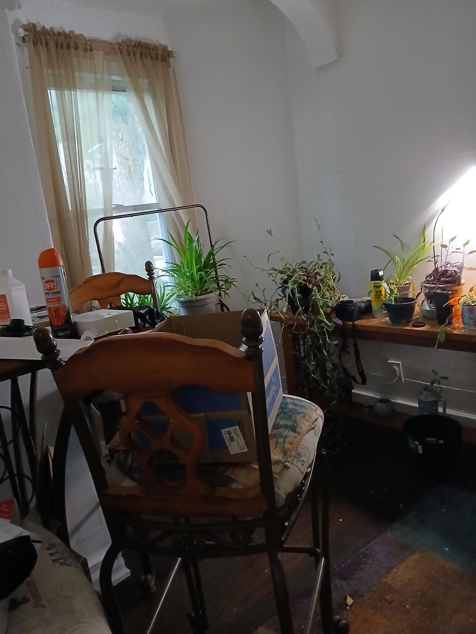 Profile photo 4 of 6