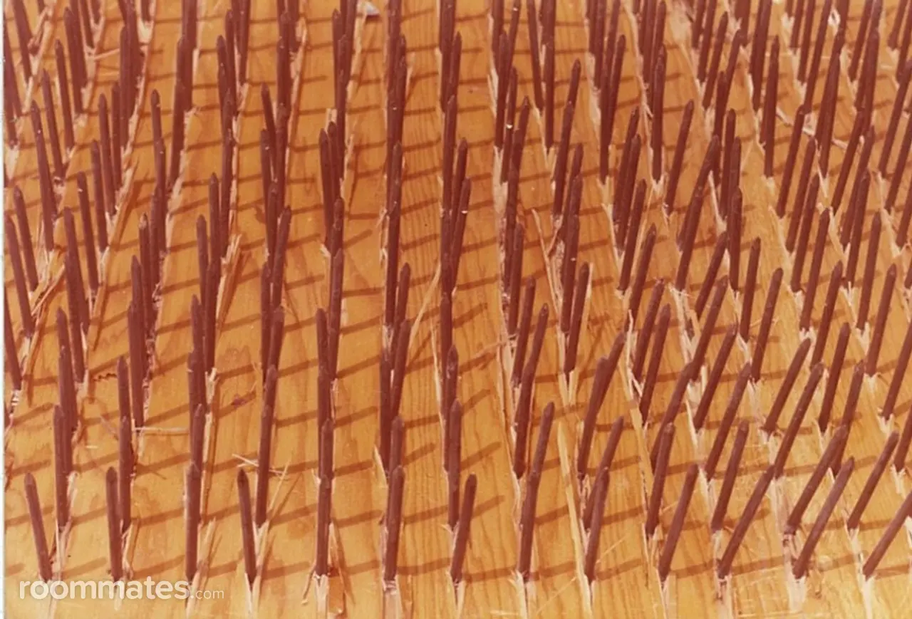 Profile photo 6 of 7