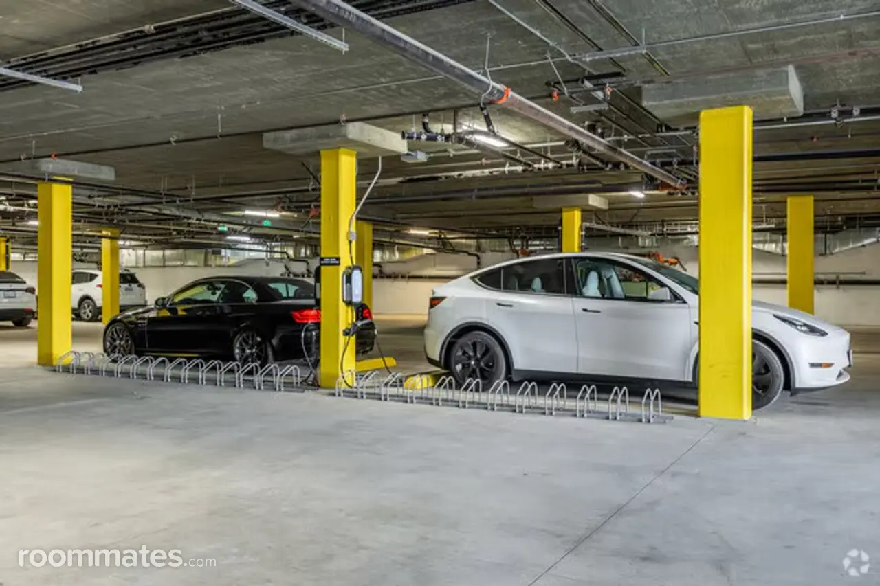 Profile photo 14 of 21