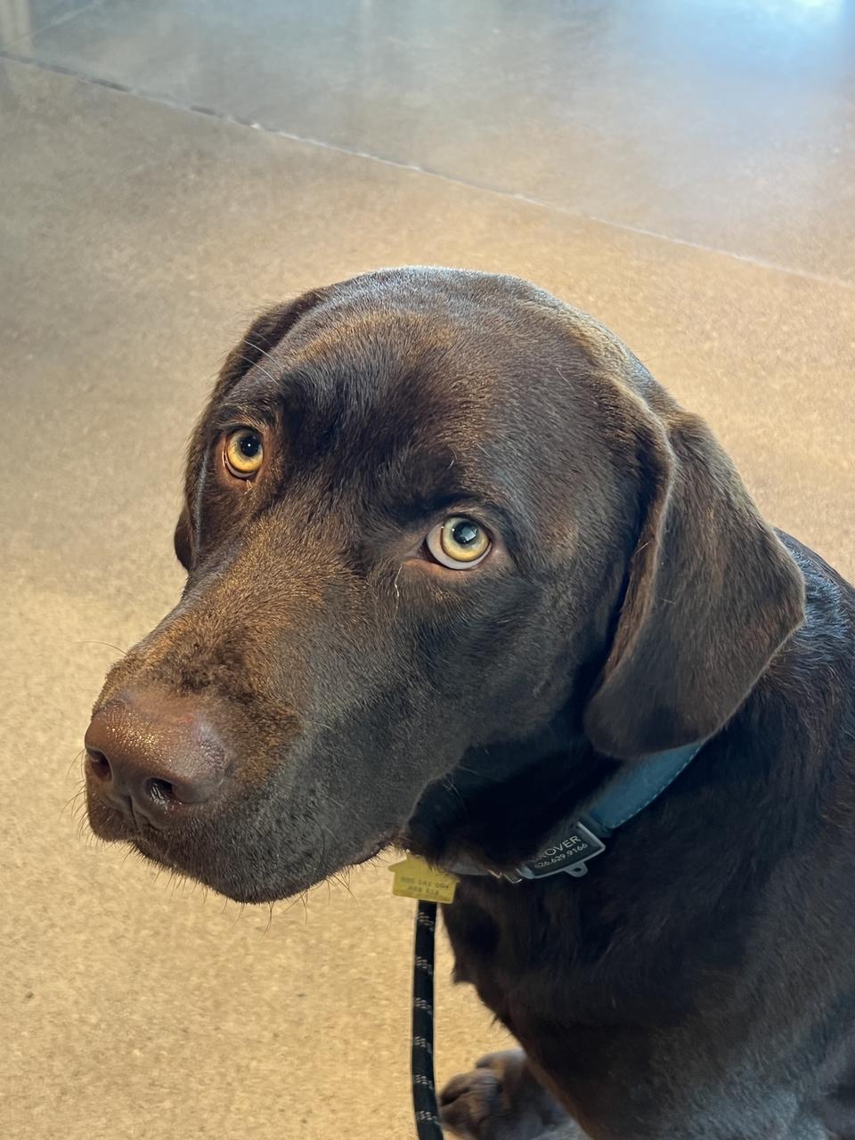 Profile photo 11 of 13