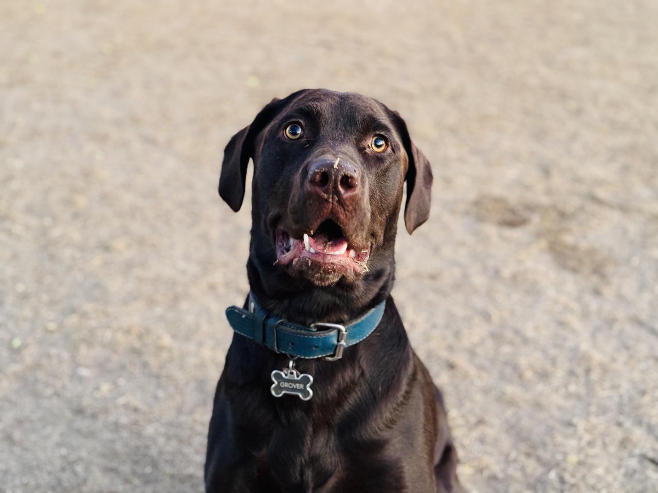 Profile photo 9 of 13