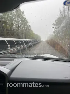 Room for rent in Tuscaloosa, AL $9000, other