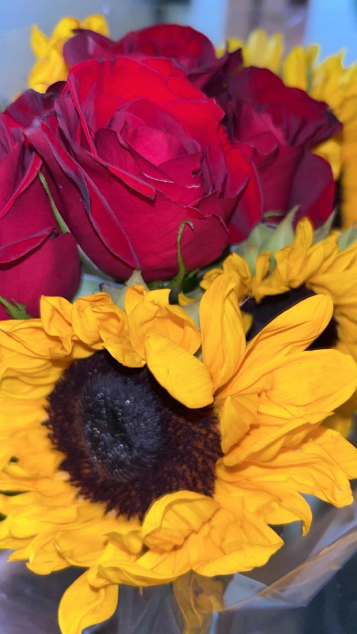 Profile photo 6 of 7