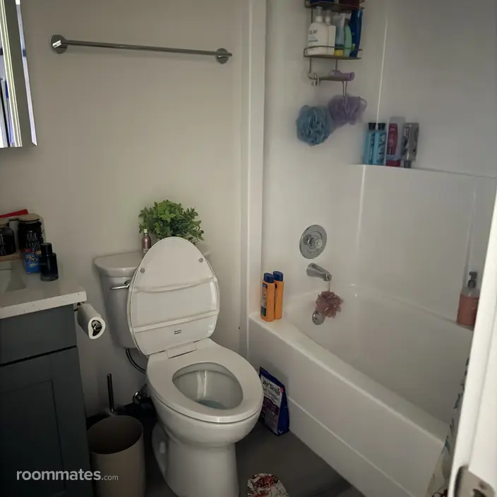 Room for rent in Olympia, WA $1000, apartment