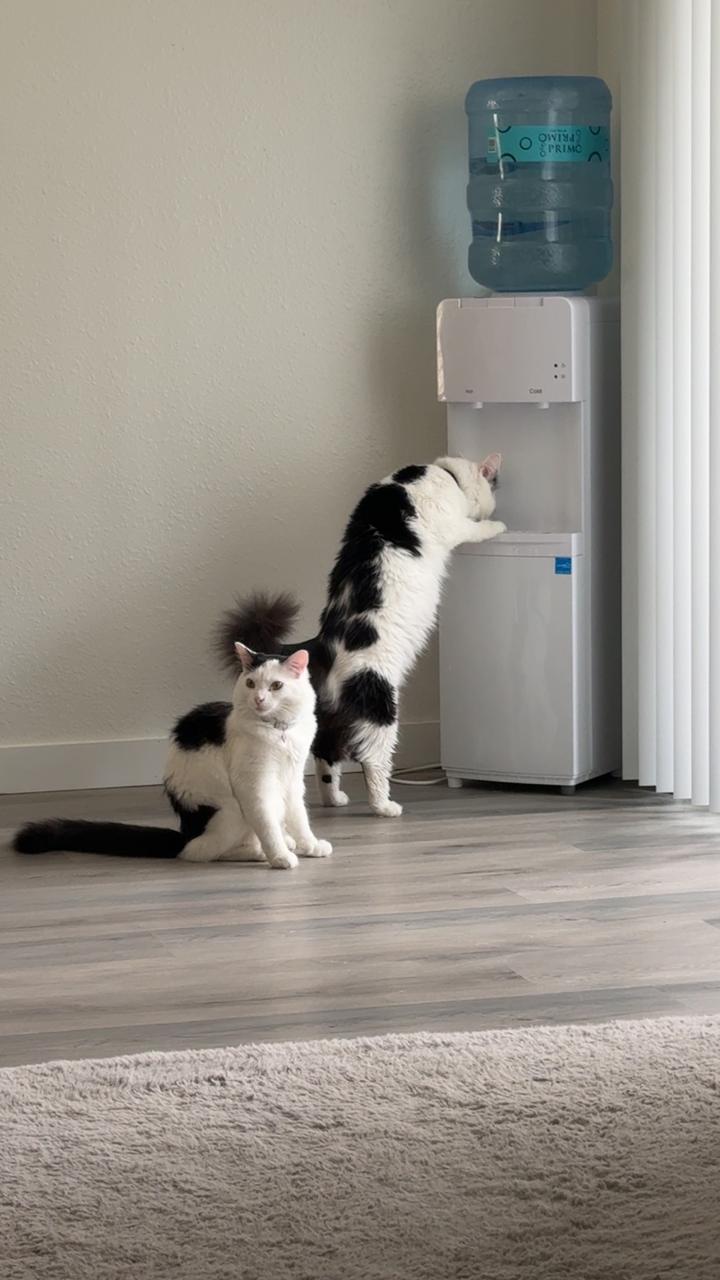 Profile photo 1 of 8