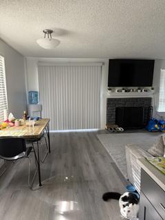 Room for rent in Olympia, WA $800, apartment