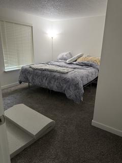 Room for rent in Olympia, WA $800, apartment