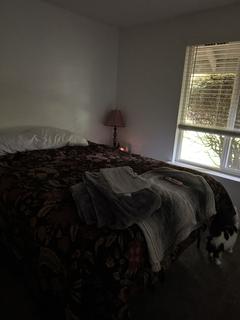 Room for rent in Olympia, WA $800, apartment