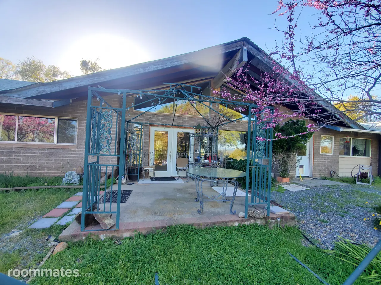 Profile photo 12 of 17