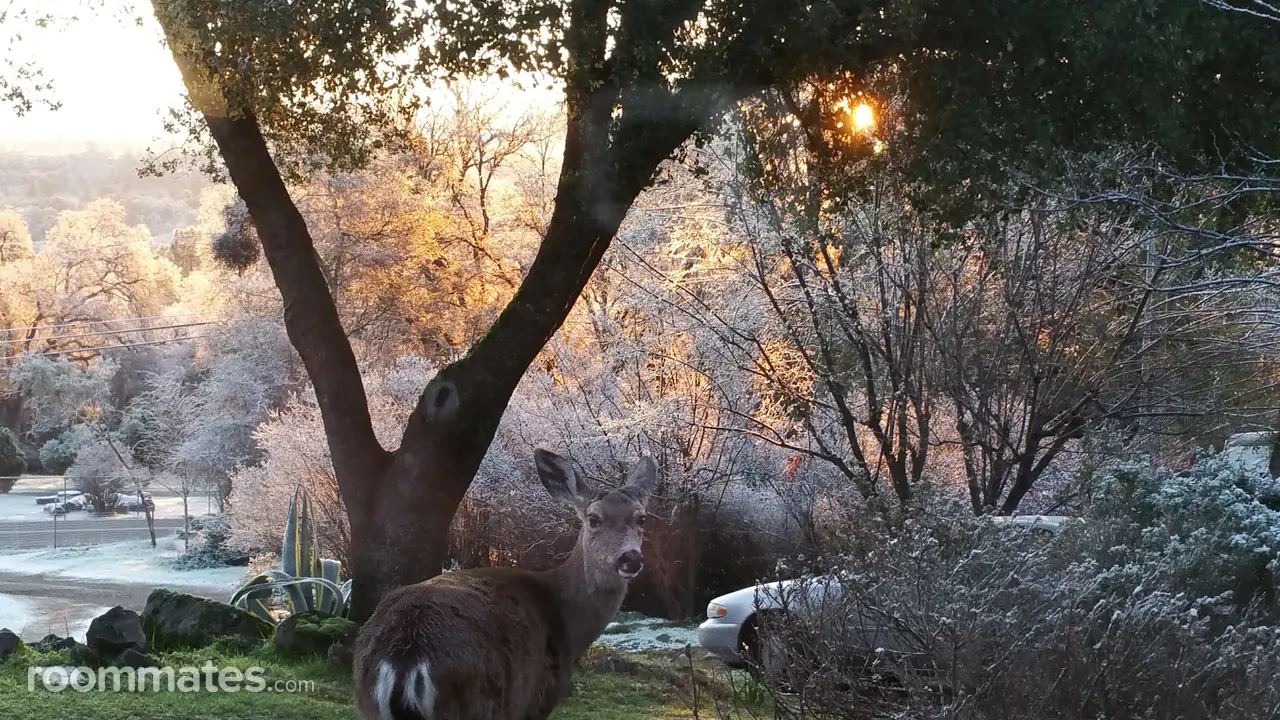 Profile photo 15 of 17