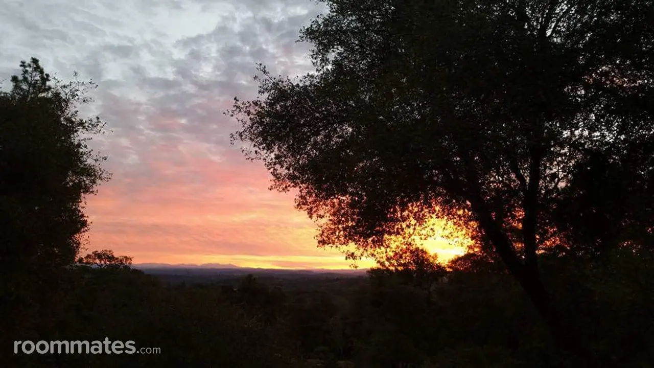 Profile photo 16 of 17