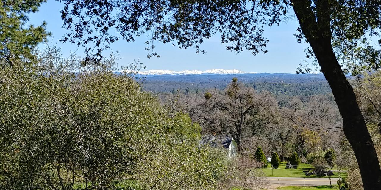 Profile photo 10 of 17