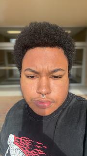 Roommate looking Novi, MI, $900