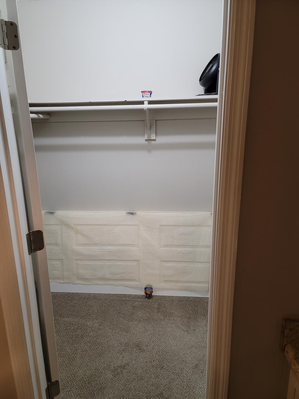 Profile photo 9 of 11