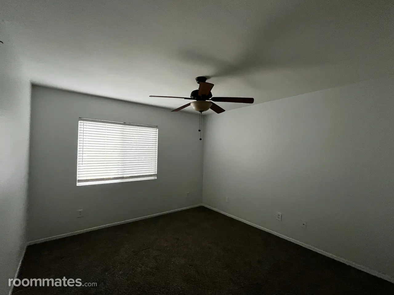 Profile photo 5 of 15