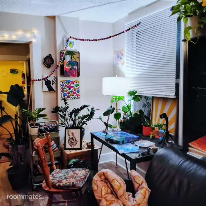Room for rent in Canonsburg, PA $500, house
