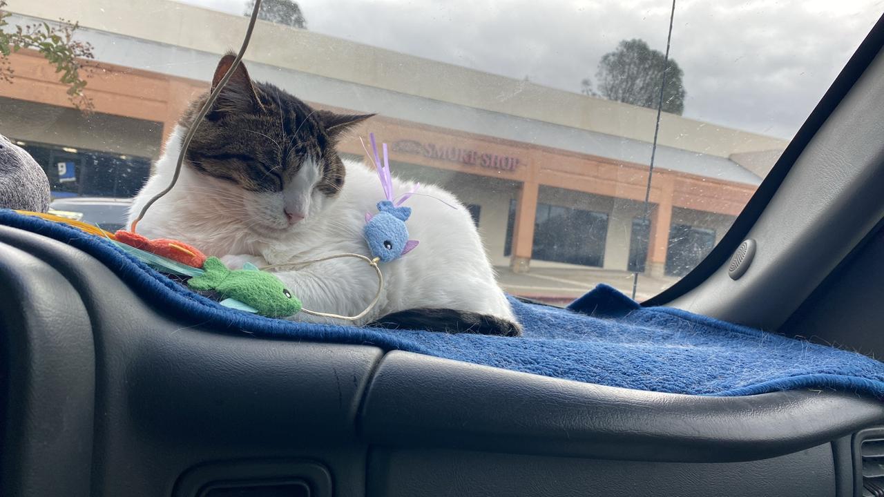 Profile photo 3 of 4