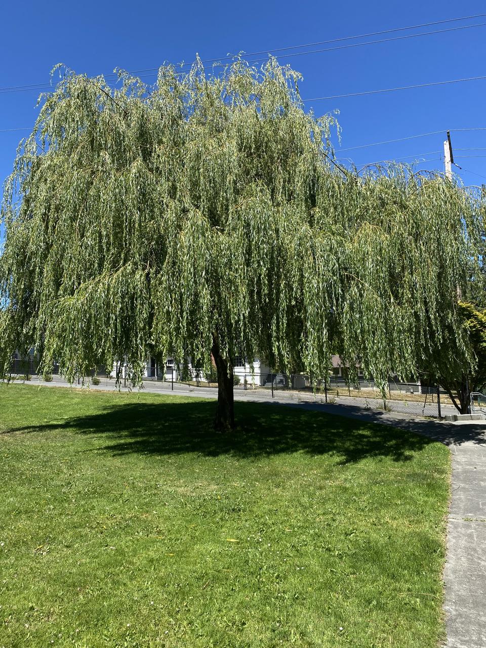 Profile photo 2 of 4