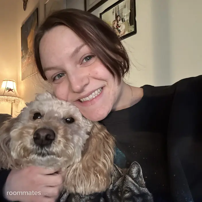 Roommate looking Phoenix, AZ, $1000