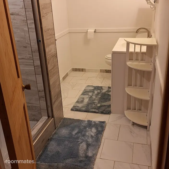Room for rent in Hopkins, MN $1200, other