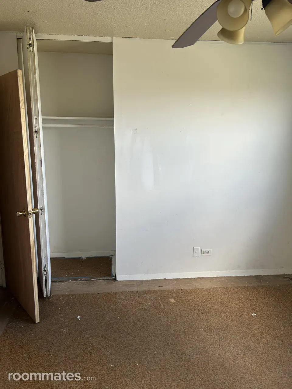 Profile photo 3 of 4