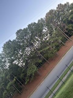 Room for rent in Charlotte, NC $800, apartment