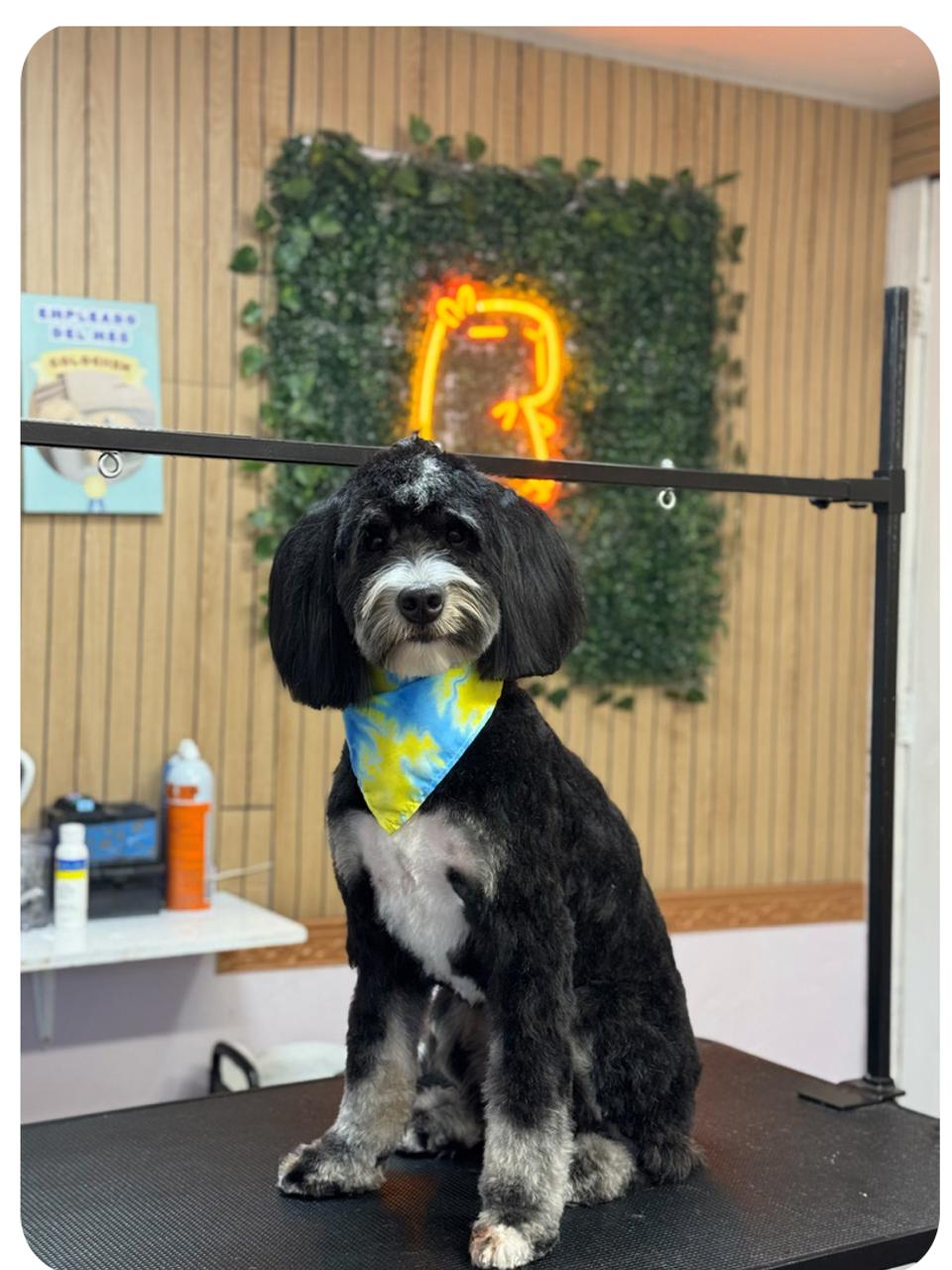 Profile photo 7 of 7