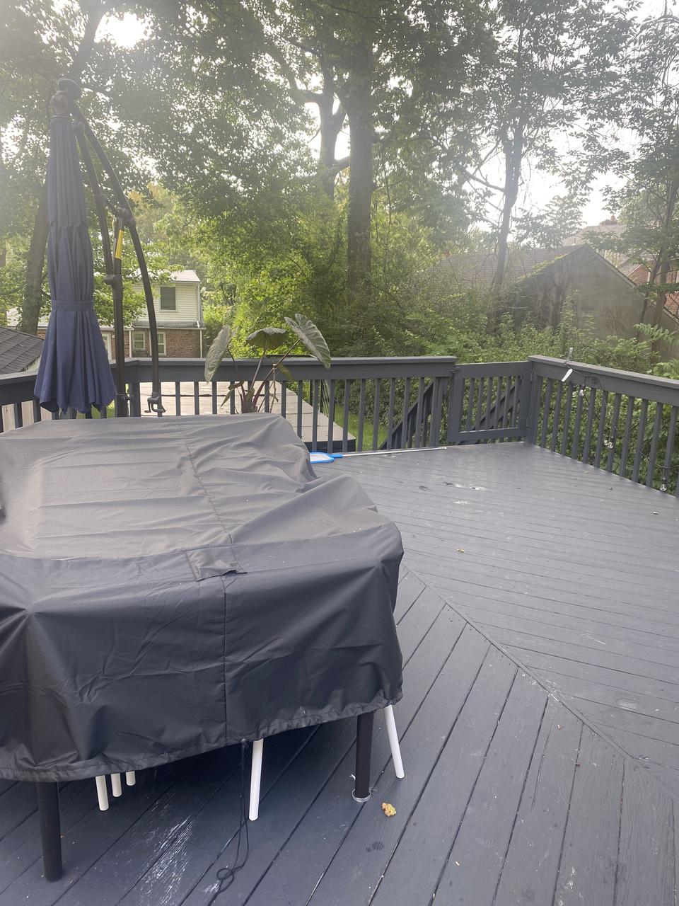 Profile photo 4 of 6