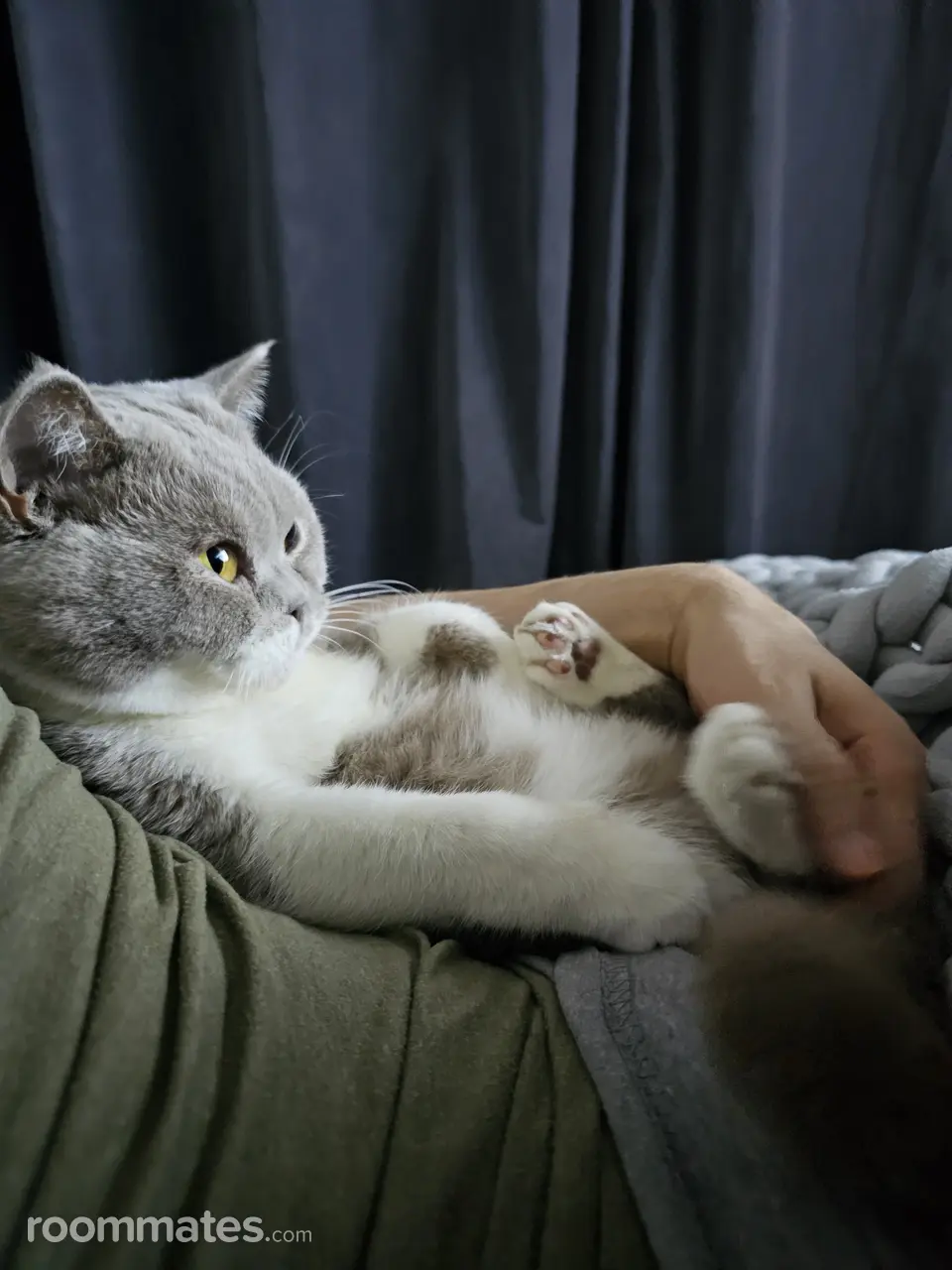 Profile photo 18 of 20