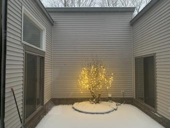 Room for rent in Windsor, CT $750, house