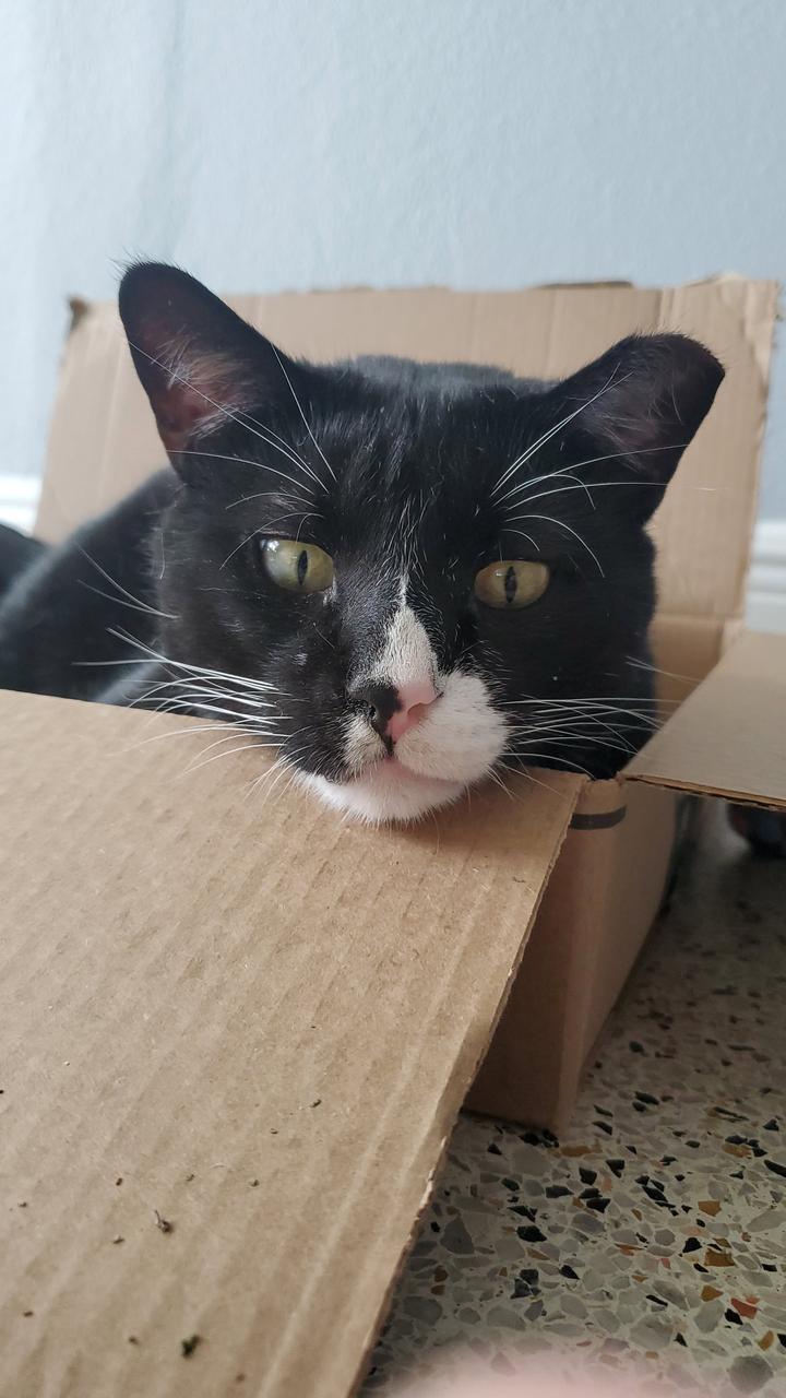 Profile photo 6 of 9