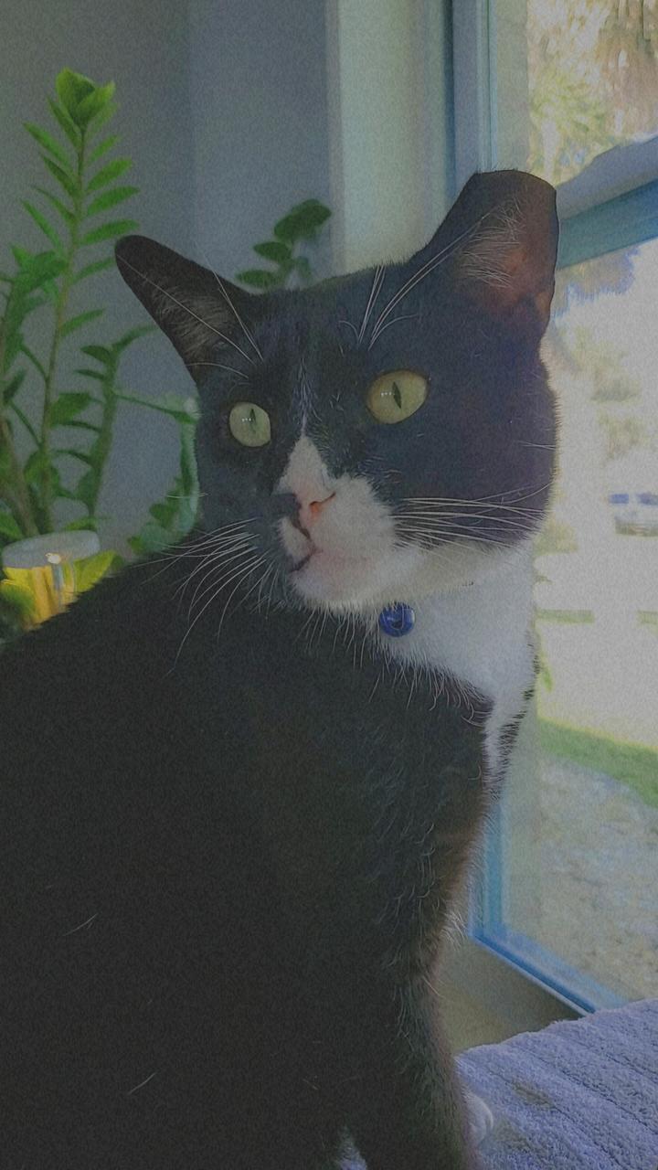 Profile photo 9 of 9