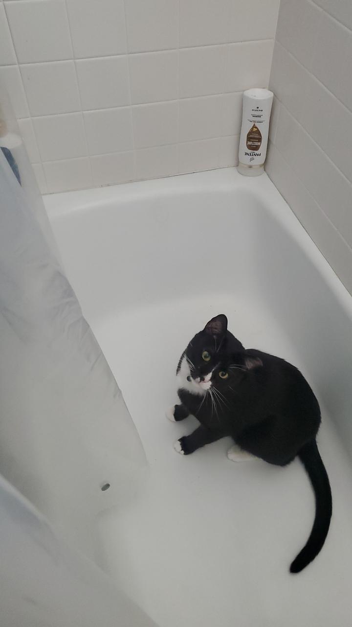 Profile photo 8 of 9