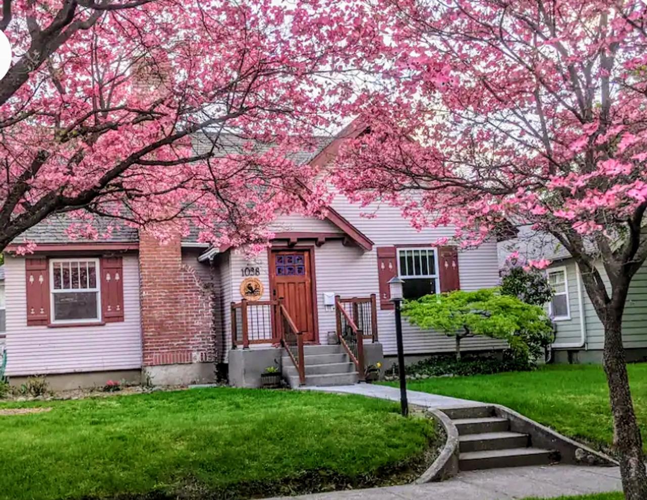 Profile photo 4 of 14