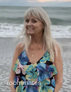 Roommate looking Melbourne, FL, $600