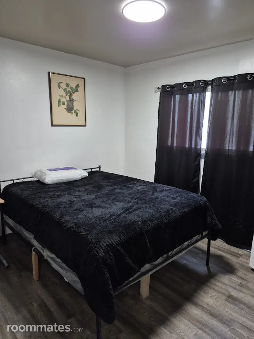 Profile photo 9 of 11