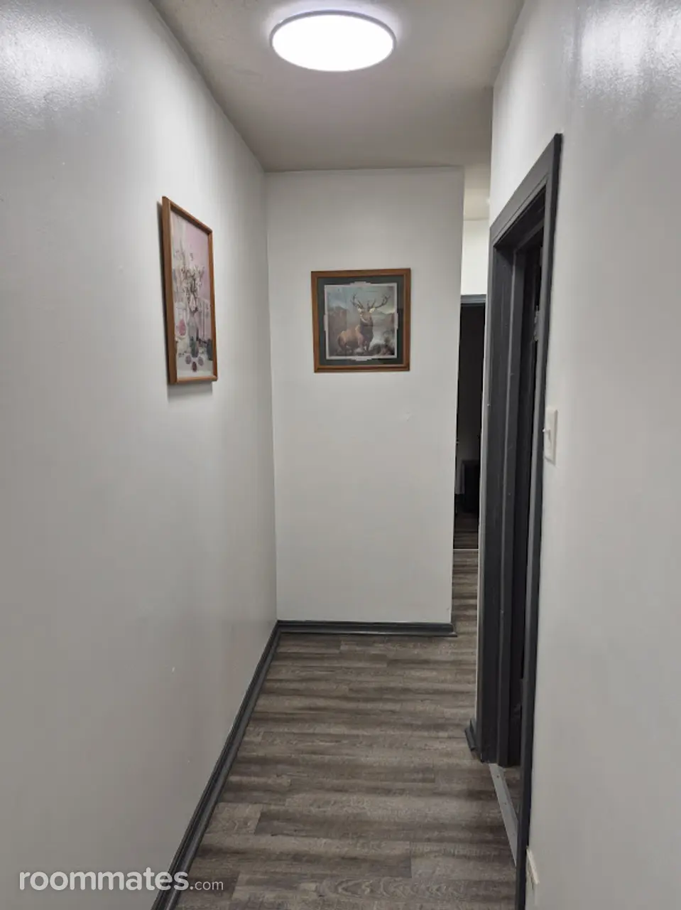 Profile photo 4 of 11