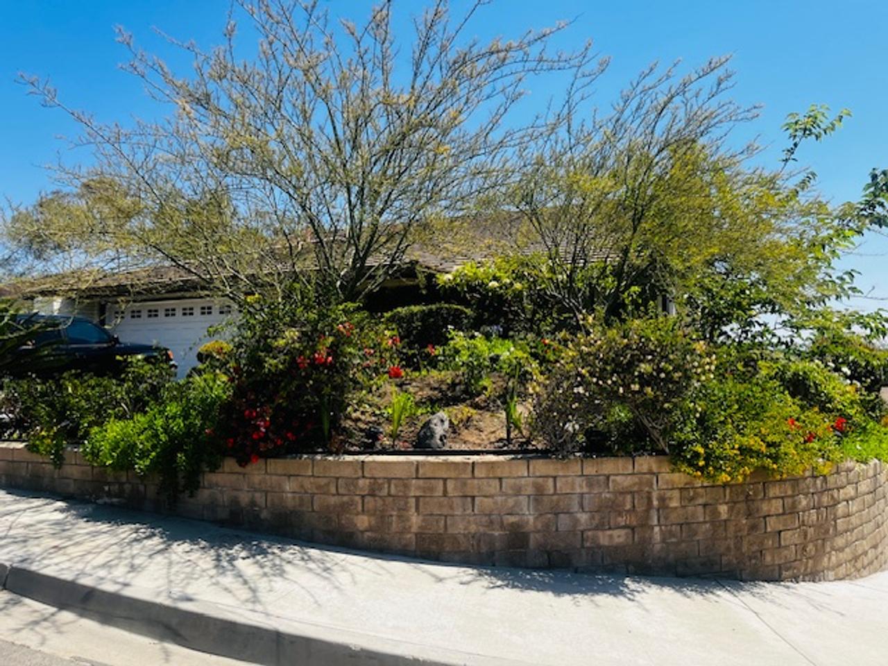 Profile photo 10 of 10