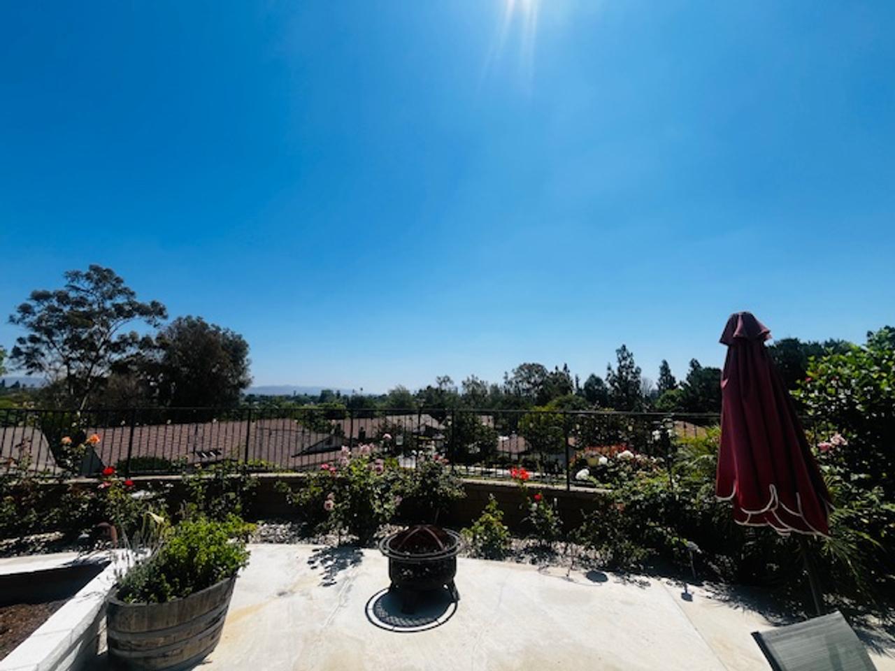 Profile photo 7 of 10