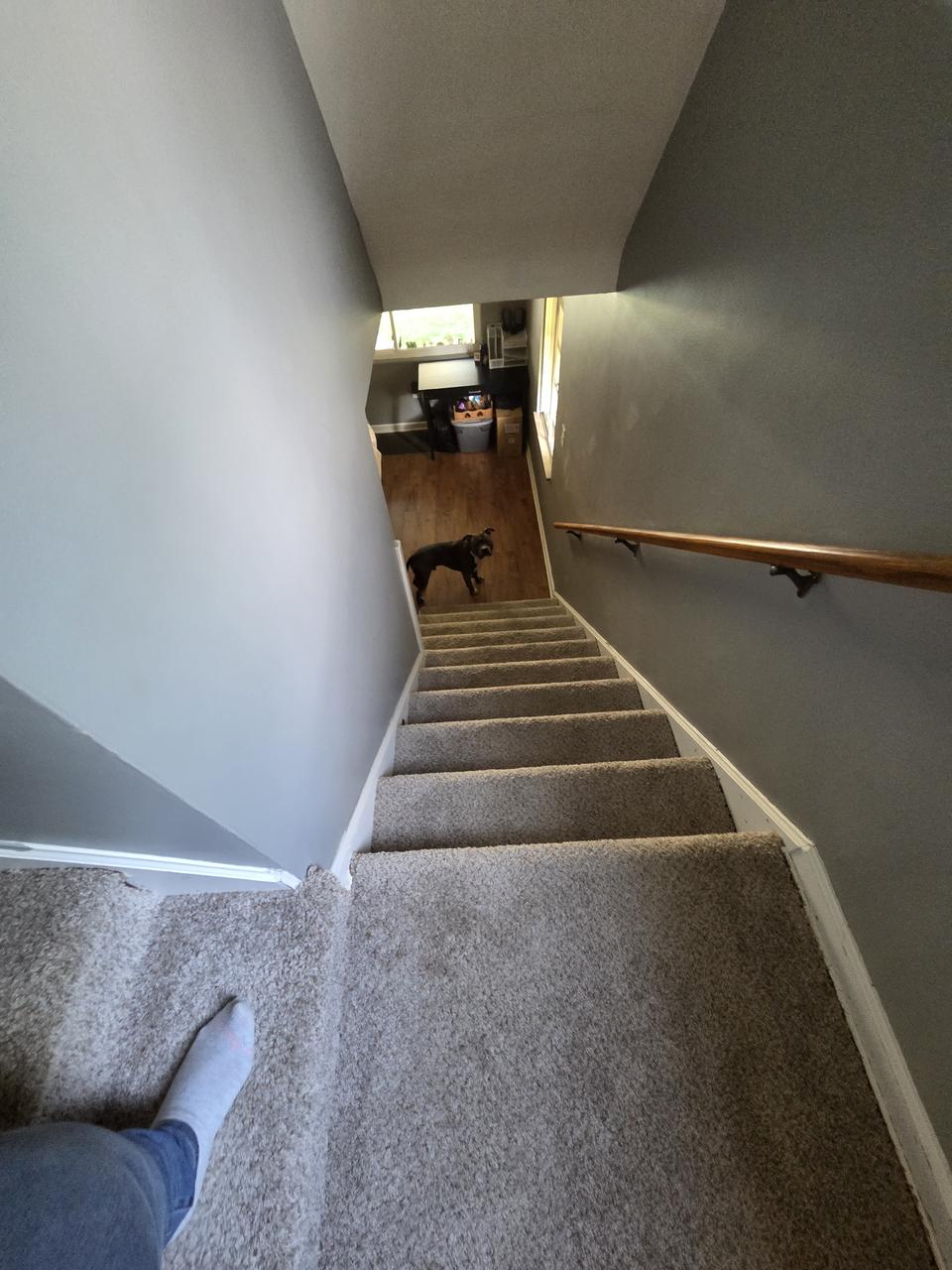 Profile photo 10 of 11