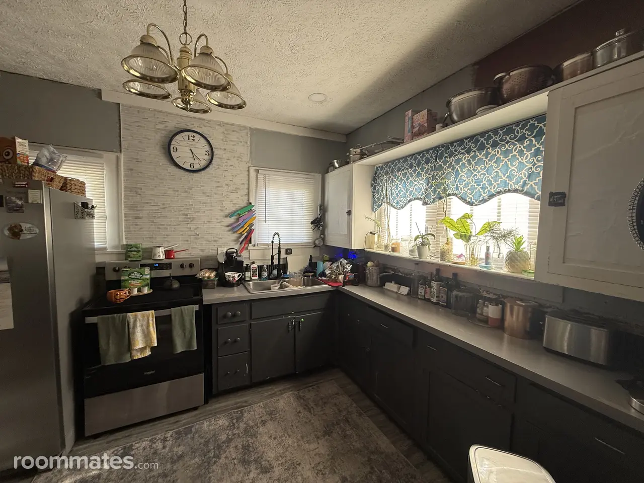 Profile photo 7 of 14