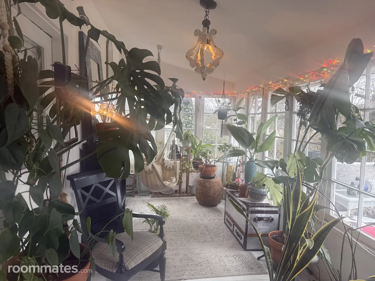 Profile photo 2 of 14