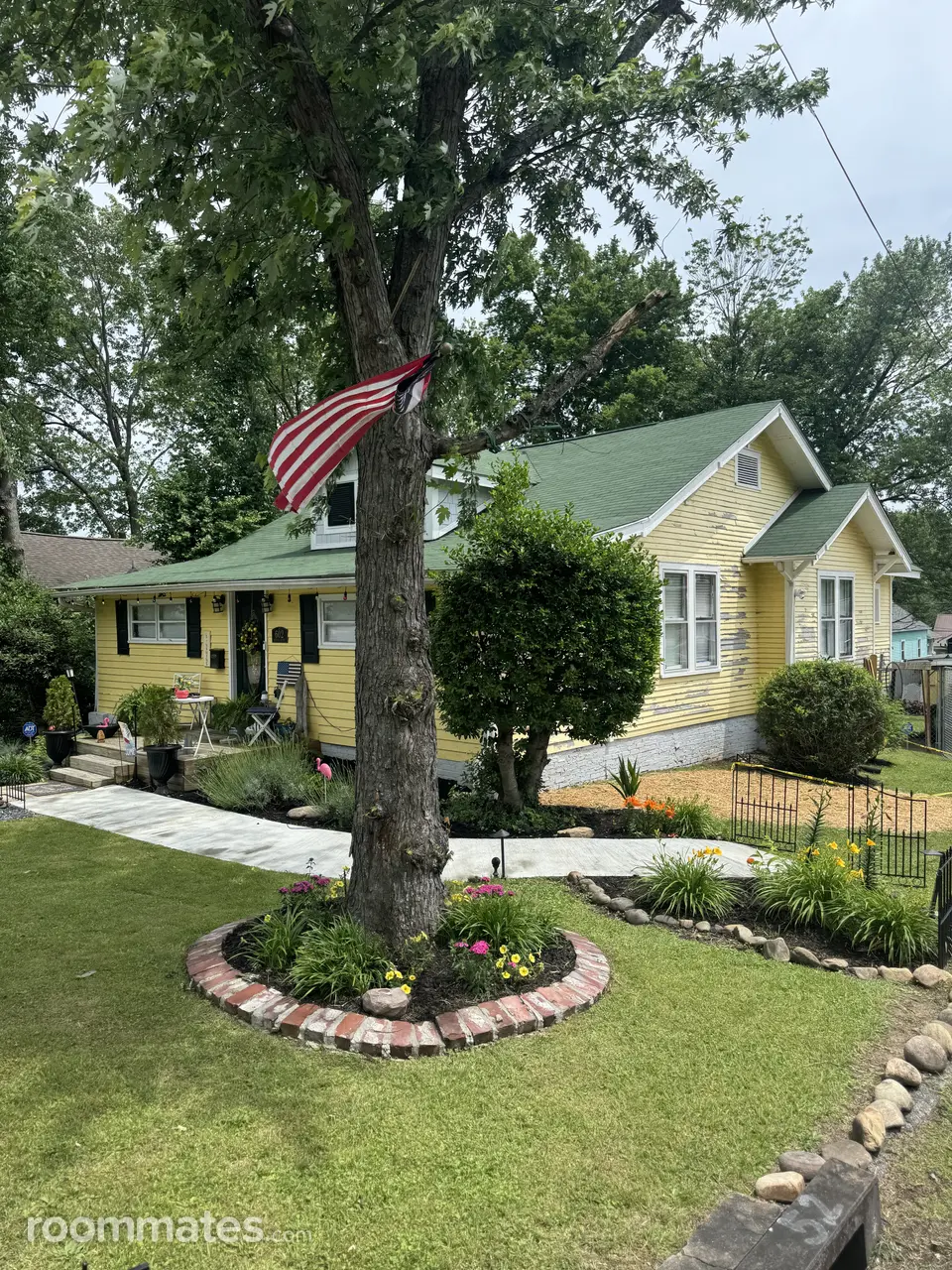 Profile photo 13 of 14