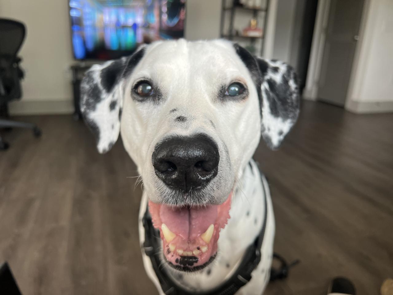 Profile photo 11 of 12