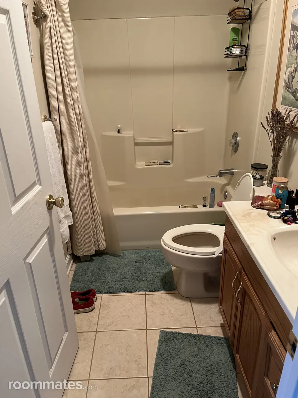 Profile photo 6 of 7