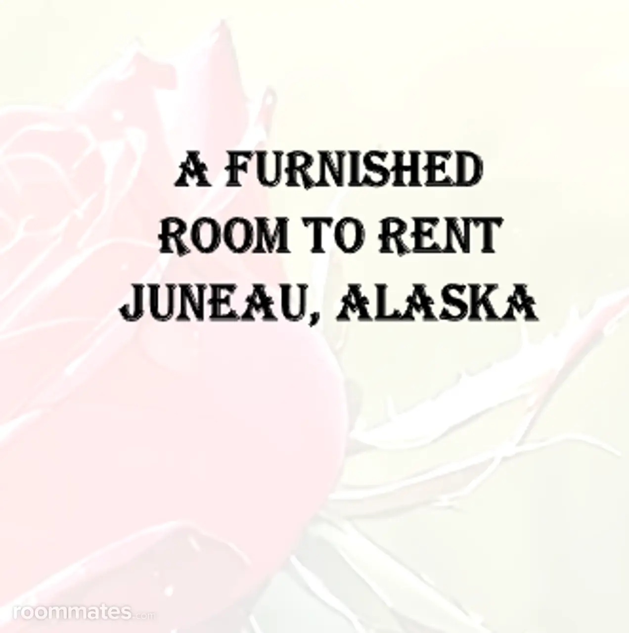 Profile photo 4 of 4